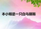 本小姐是一只白鳥麗斯