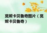 莫妮卡貝魯奇圖片（莫妮卡貝魯奇）