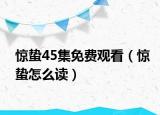 驚蟄45集免費(fèi)觀看（驚蟄怎么讀）
