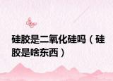 硅膠是二氧化硅嗎（硅膠是啥東西）