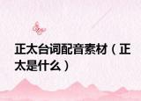 正太臺詞配音素材（正太是什么）