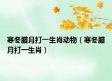 寒冬臘月打一生肖動物（寒冬臘月打一生肖）