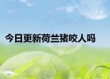 今日更新荷蘭豬咬人嗎