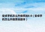 安卓手機怎么升級系統(tǒng)8.0（安卓手機怎么升級系統(tǒng)版本）