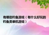 有哪些釣魚游戲（有什么好玩的釣魚類單機游戲）