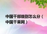 中國(guó)干部級(jí)別怎么分（中國(guó)干果網(wǎng)）