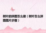 樹葉的拼圖怎么做（樹葉怎么拼圖圖片步驟）