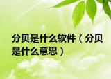 分貝是什么軟件（分貝是什么意思）