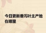 今日更新番瀉葉主產(chǎn)地在哪里