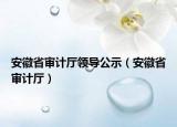 安徽省審計廳領導公示（安徽省審計廳）