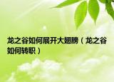 龍之谷如何展開(kāi)大翅膀（龍之谷如何轉(zhuǎn)職）