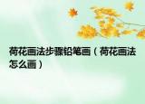 荷花畫法步驟鉛筆畫（荷花畫法怎么畫）