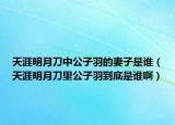 天涯明月刀中公子羽的妻子是誰（天涯明月刀里公子羽到底是誰?。? /></span></a>
                        <h2><a href=