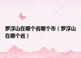 羅浮山在哪個省哪個市（羅浮山在哪個省）