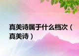 真美詩屬于什么檔次（真美詩）