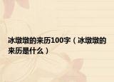 冰墩墩的來歷100字（冰墩墩的來歷是什么）