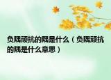 負(fù)隅頑抗的隅是什么（負(fù)隅頑抗的隅是什么意思）
