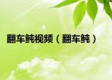 翻車鲀視頻（翻車鲀）