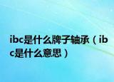 ibc是什么牌子軸承（ibc是什么意思）