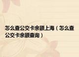 怎么查公交卡余額上海（怎么查公交卡余額查詢）