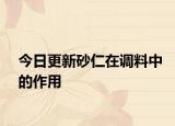 今日更新砂仁在調(diào)料中的作用