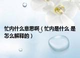 忙內(nèi)什么意思?。?nèi)是什么 是怎么解釋的）