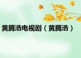 黃騰浩電視?。S騰浩）