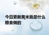 今日更新黃米面是什么糧食做的