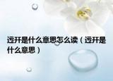 迃幵是什么意思怎么讀（迃幵是什么意思）