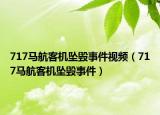 717馬航客機(jī)墜毀事件視頻（717馬航客機(jī)墜毀事件）