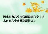 河北省有幾個市分別是哪幾個（河北省有幾個市分別是什么）