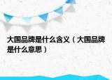 大國(guó)品牌是什么含義（大國(guó)品牌是什么意思）