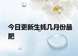 今日更新生蠔幾月份最肥