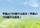 蘋果a1700是什么版本（蘋果a1700是什么型號）