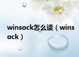 winsock怎么讀（winsock）