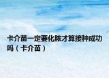 卡介苗一定要化膿才算接種成功嗎（卡介苗）