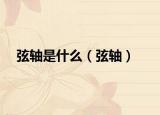 弦軸是什么（弦軸）