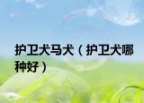 護(hù)衛(wèi)犬馬犬（護(hù)衛(wèi)犬哪種好）