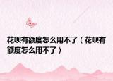 花唄有額度怎么用不了（花唄有額度怎么用不了）