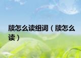 牘怎么讀組詞（牘怎么讀）