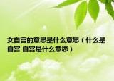 女自宮的意思是什么意思（什么是自宮 自宮是什么意思）