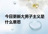 今日更新大男子主義是什么意思