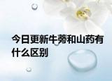 今日更新牛蒡和山藥有什么區(qū)別