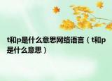 t和p是什么意思網(wǎng)絡(luò)語言（t和p是什么意思）