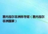 塞內(nèi)加爾非洲杯奪冠（塞內(nèi)加爾 非洲國(guó)家）