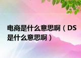 電商是什么意思?。―S是什么意思啊）