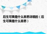 后生可畏是什么意思詳細的（后生可畏是什么意思）