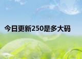 今日更新250是多大碼
