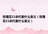 玫瑰花11朵代表什么意義（玫瑰花11朵代表什么意義）