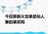 今日更新火龍果是仙人掌的果實(shí)嗎